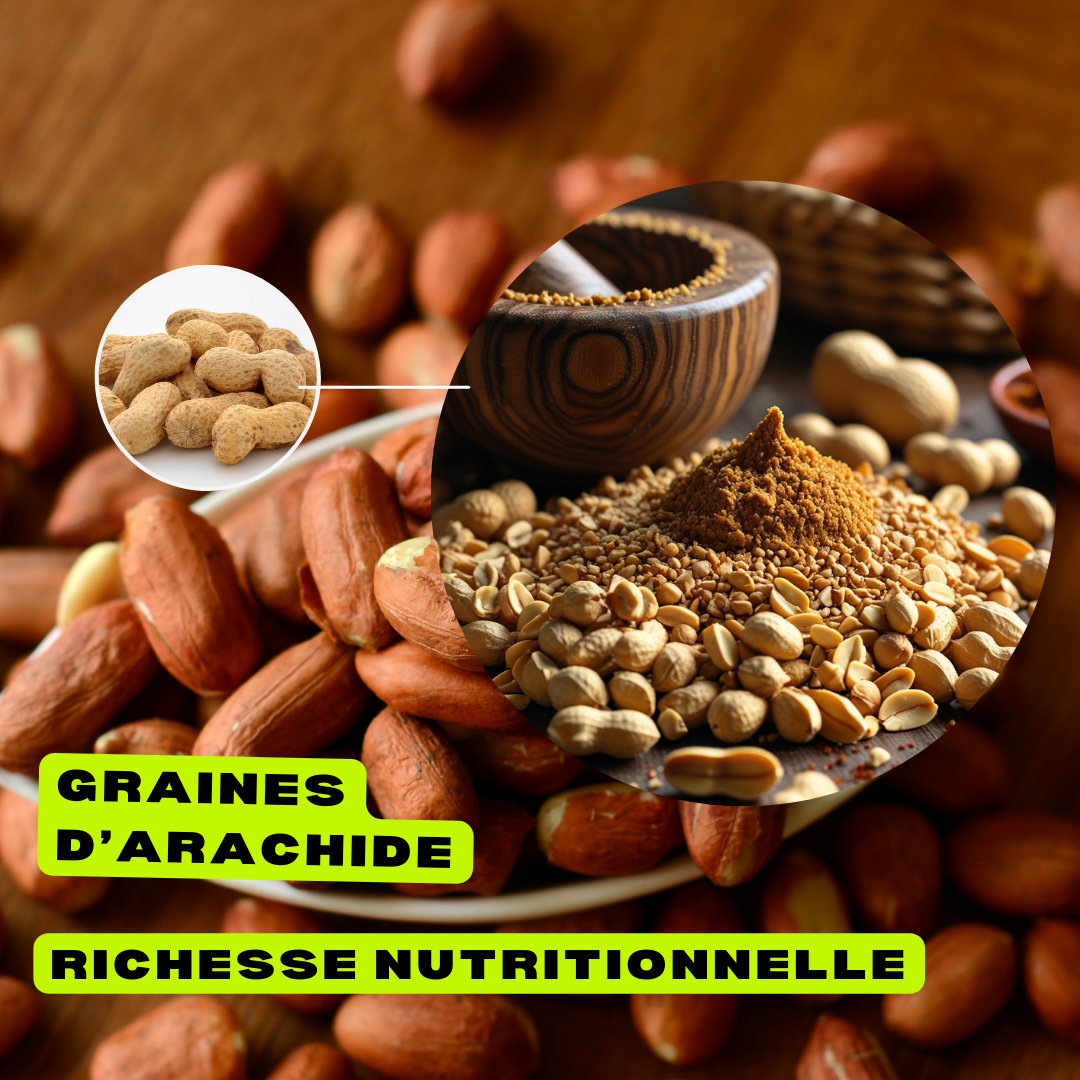 Graines d’Arachide Broyées – Rich Food International