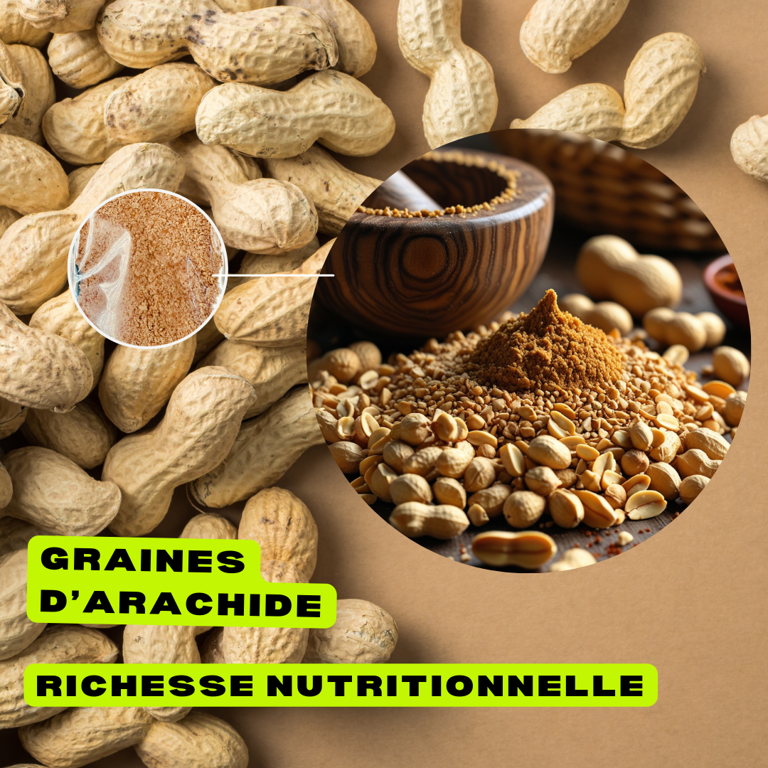 Graines d’Arachide Broyées – Rich Food International