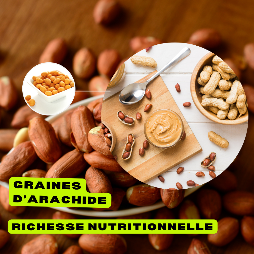 Graines d’Arachide Broyées – Rich Food International