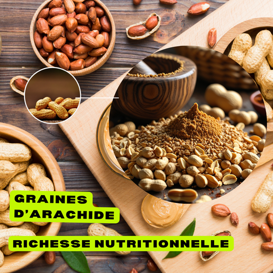 Graines d’Arachide Broyées – Rich Food International