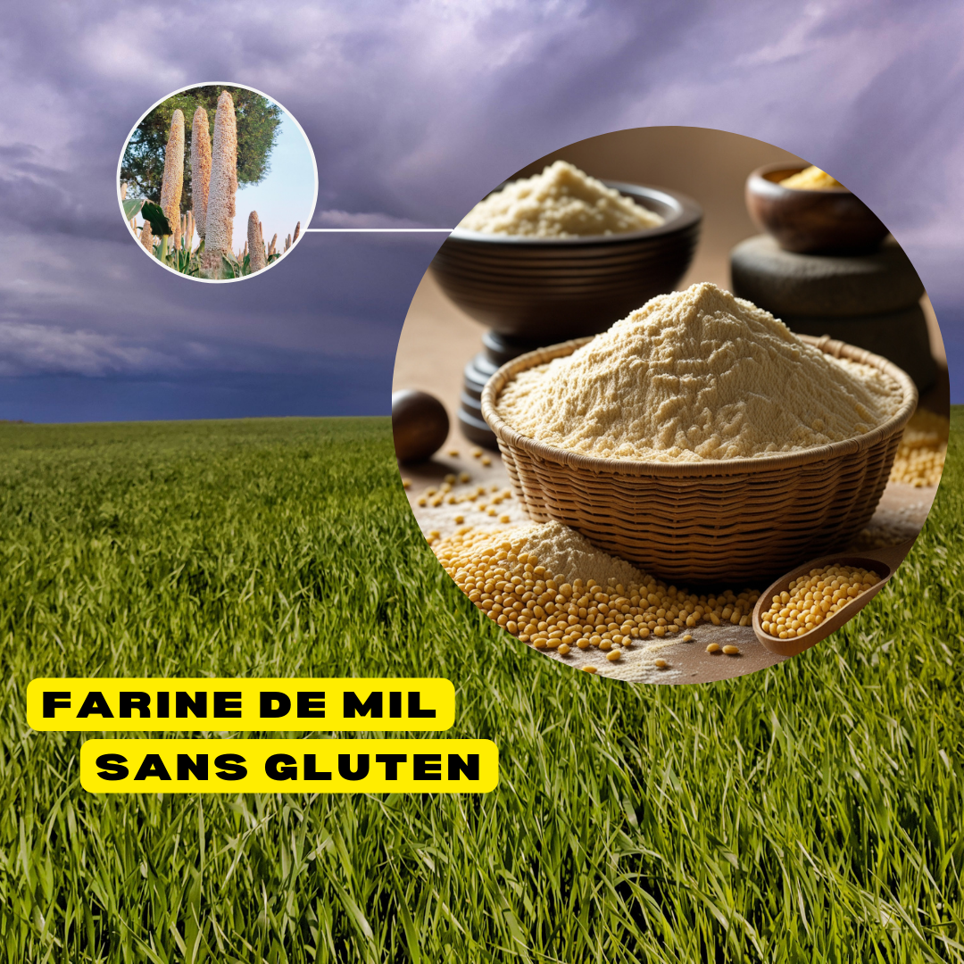 Farine de Mil – Rich Food International